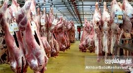 گرانی قیمت گوشت در بازار؛ فاصله‌ای نگران‌کننده تا سفره مردم