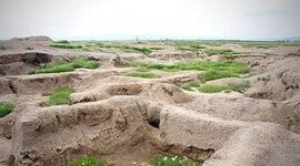 کنترل بیابانزایی و تثبیت شن‌های روان، نیازمند عزم ملی
