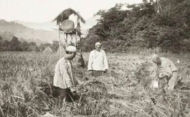 بخش‌ دوازدهم:‌ بحران جهانی 1929 و مناسبات، نهادها و شرکای تجاری ایران

