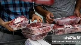 قیمت واقعی گوشت قرمز اعلام شد: فراوانی در بازار، فاجعه در سبد مصرف!