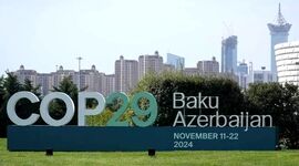 سپردن مسئولیت مرغداری به روباه

