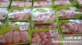 کاهش ۳۰ درصدی قیمت مرغ؛ راهکار مجلس چیست؟