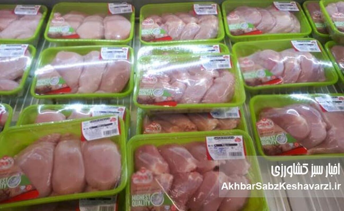 گوشت و مرغ بسته‌بندی گران شد؟ روایت رسمی از تأثیر گرانی پلاستیک
