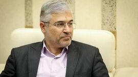 ضربه واردات گوشت قرمز به صنعت دامپروری

