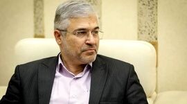 ضربه واردات گوشت قرمز به صنعت دامپروری

