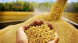 از نهاده‌های دامی تا صنایع غذایی؛ ترکیب هیأت تجاری-کشاورزی ایران در همایش ایران و ازبکستان