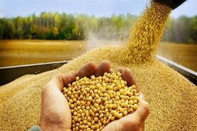 از نهاده‌های دامی تا صنایع غذایی؛ ترکیب هیأت تجاری-کشاورزی ایران در همایش ایران و ازبکستان