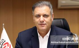  قیمت عمده برنج پاکستانی و هندی بالا رفت؛ هر کیلو چند؟