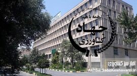 فروپاشی مشروعیت علمی در مغز نظام کشاورزی/ وقتی تبارنامه جای شایستگی را می‌گیرد