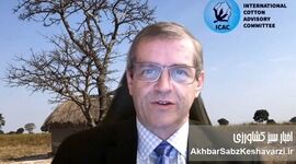 پیام ویدیویی رئیس مجمع جهانی مشورتی پنبه به مناسبت روز جهانی پنبه در گرگان