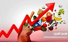 وقتی سفره مردم کوچک‌تر از همیشه می‌شود