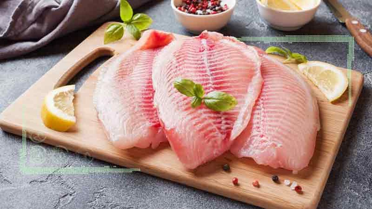 واردات ۵۰۰ تن فیله تیلاپیا به کشور

