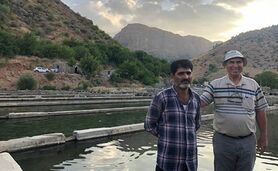 خلاقیت در تولید برق پاک در یک کارگاه پرورش ماهی+ ویدئو

