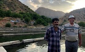 خلاقیت در تولید برق پاک در یک کارگاه پرورش ماهی+ ویدئو

