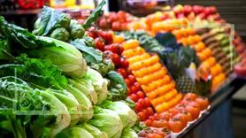 قیمت میوه و تره بار ۲۰ دی ۱۴۰۲

