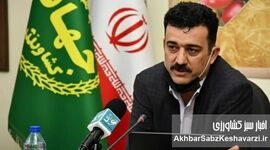 اصلاح قیمت تضمینی گندم در دستور کار وزارت جهاد کشاورزی