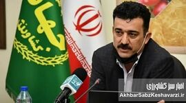 اصلاح قیمت تضمینی گندم در دستور کار وزارت جهاد کشاورزی