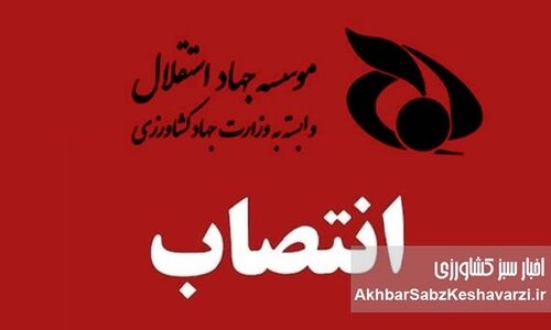  ورود محکومان اقتصادی از صندوق بازنشستگی و تسخیر مؤسسه جهاد استقلال
