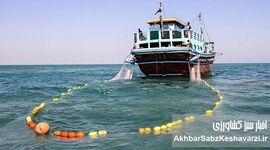 طرح دریابست قشم آغاز شد؛ ۹ روز ممنوعیت صید برای نجات آبزیان خلیج فارس
