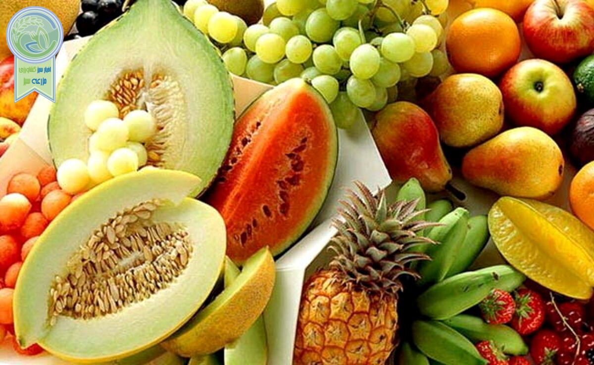 در فصل گرما چه غذایی بخوریم؟ 
