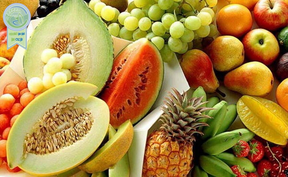 در فصل گرما چه غذایی بخوریم؟ 