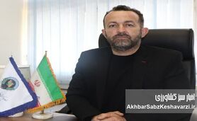 هر تن گوشت وارداتی مانند پهپاد اسرائیلی تولید و اشتغال را هدف می گیرد