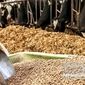  ۴۵ هزار میلیارد تومان؛ فقط نوک کوه یخ فساد در واردات نهاده‌های دامی+ویدئو

