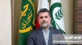 خط قرمز بر دیوارکشی‌های خودسرانه؛ از ابطال ممنوعیت مطلق تا مجازات‌های سنگین حبس