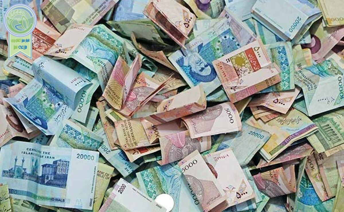 چگونه پول ملی سقوط کرد؟

