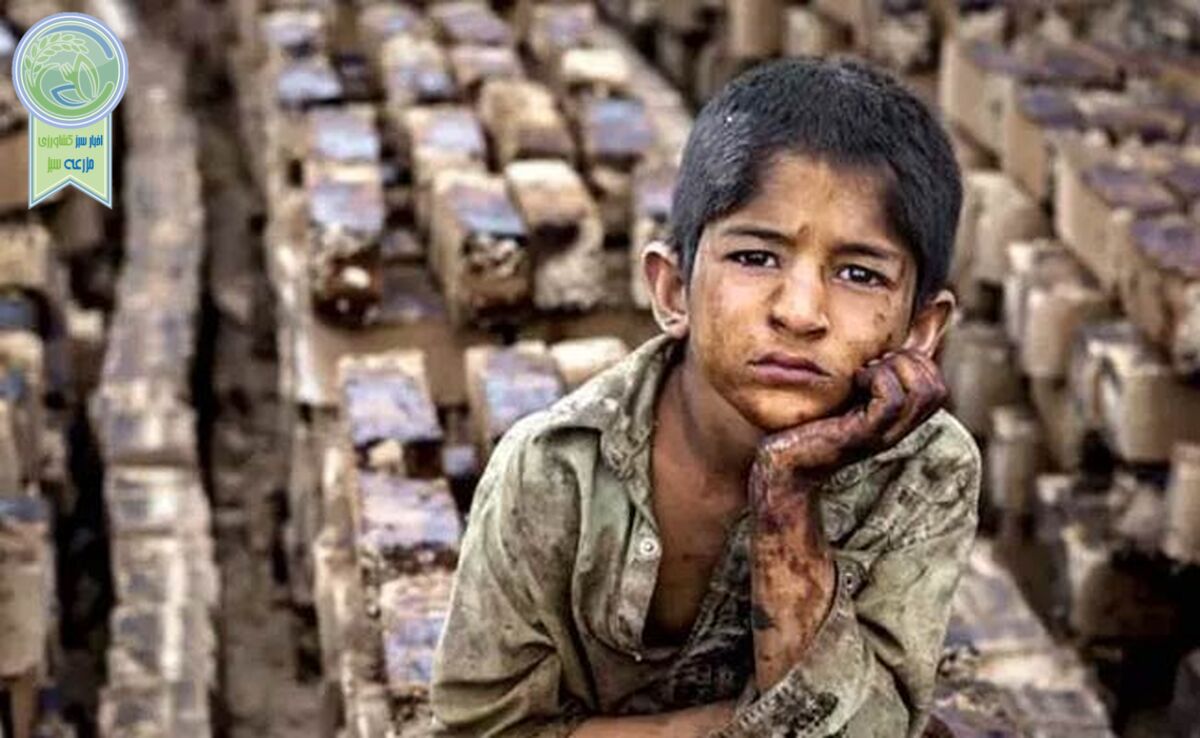 پرونده زباله گردها بسته خواهد شد؟

