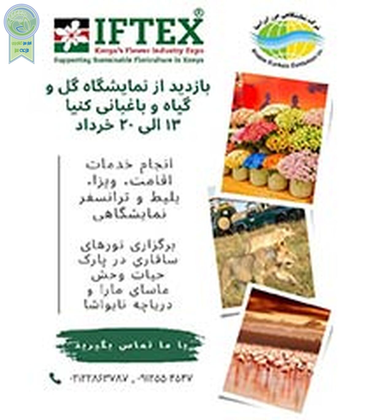 برپایی نمایشگاه گل و گیاه و باغبانی کنیا در خرداد 1403

