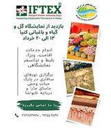 برپایی نمایشگاه گل و گیاه و باغبانی کنیا در خرداد 1403

