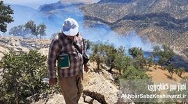 بهار پربارش زاگرس؛ آیا در انتظار یک فاجعه آتش‌سوزی هستیم؟
