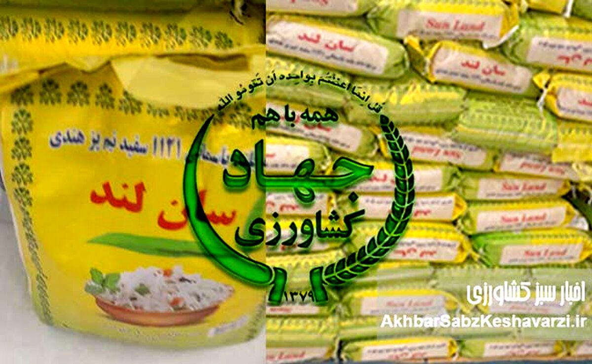 فساد برنج ۱۱۲۱: مینی دبش ۱۵ هزار میلیارد تومانی در وزرات کشاورزی دولت چهاردهم!