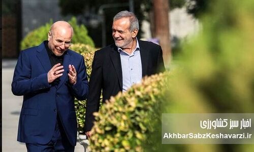 آقای قالیباف! این همه مماشات با دولت، سهم مجلس از اعتماد عمومی را هم می‌سوزاند!

