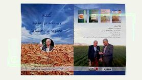 گندم و رسانه‌ها در دهه 90

