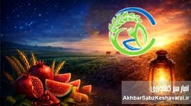 یلدایی به بلندای صبر زمین؛ «اخبار سبز» در کنار کشاورزان ایران