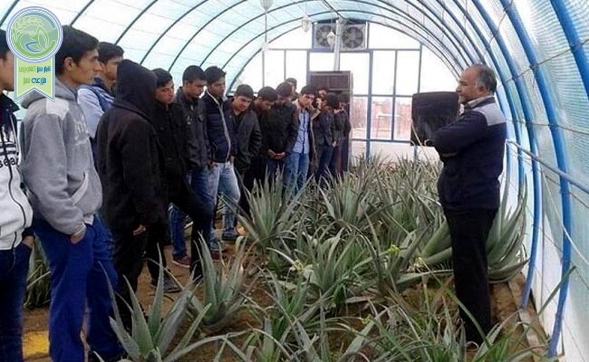 روزی که معلمان کشاورزی فراموش شدند

