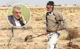 سیاستمداران کشاورز!

