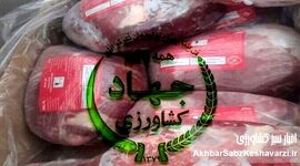 هزینه کردن برای واردات گوشت و تضعیف تولید داخلی حرام است؟