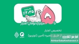 تامین مالی زنجیره مرغ با اعتبار ۵ میلیاردی بانک کشاورزی