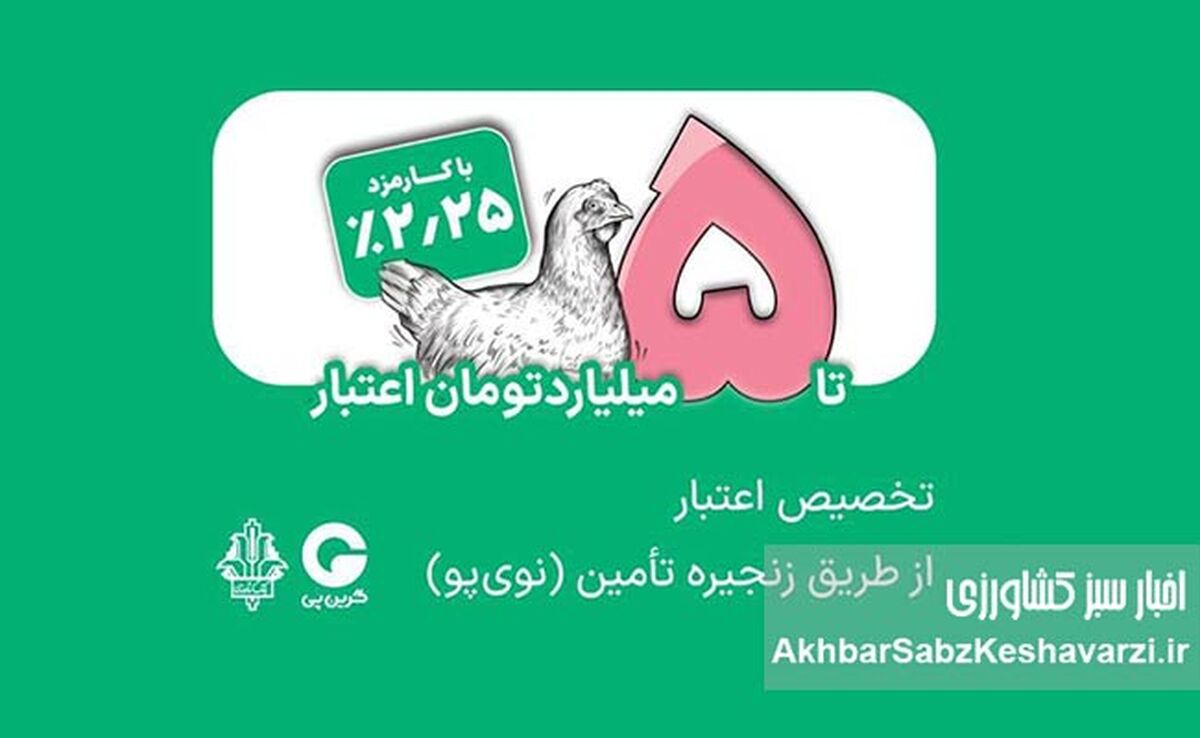 تامین مالی زنجیره مرغ با اعتبار ۵ میلیاردی بانک کشاورزی