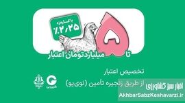 تامین مالی زنجیره مرغ با اعتبار ۵ میلیاردی بانک کشاورزی