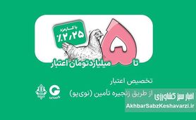 تامین مالی زنجیره مرغ با اعتبار ۵ میلیاردی بانک کشاورزی