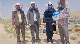 زنبوردار نهاوندی رکوددار تولید عسل+ ویدئو

