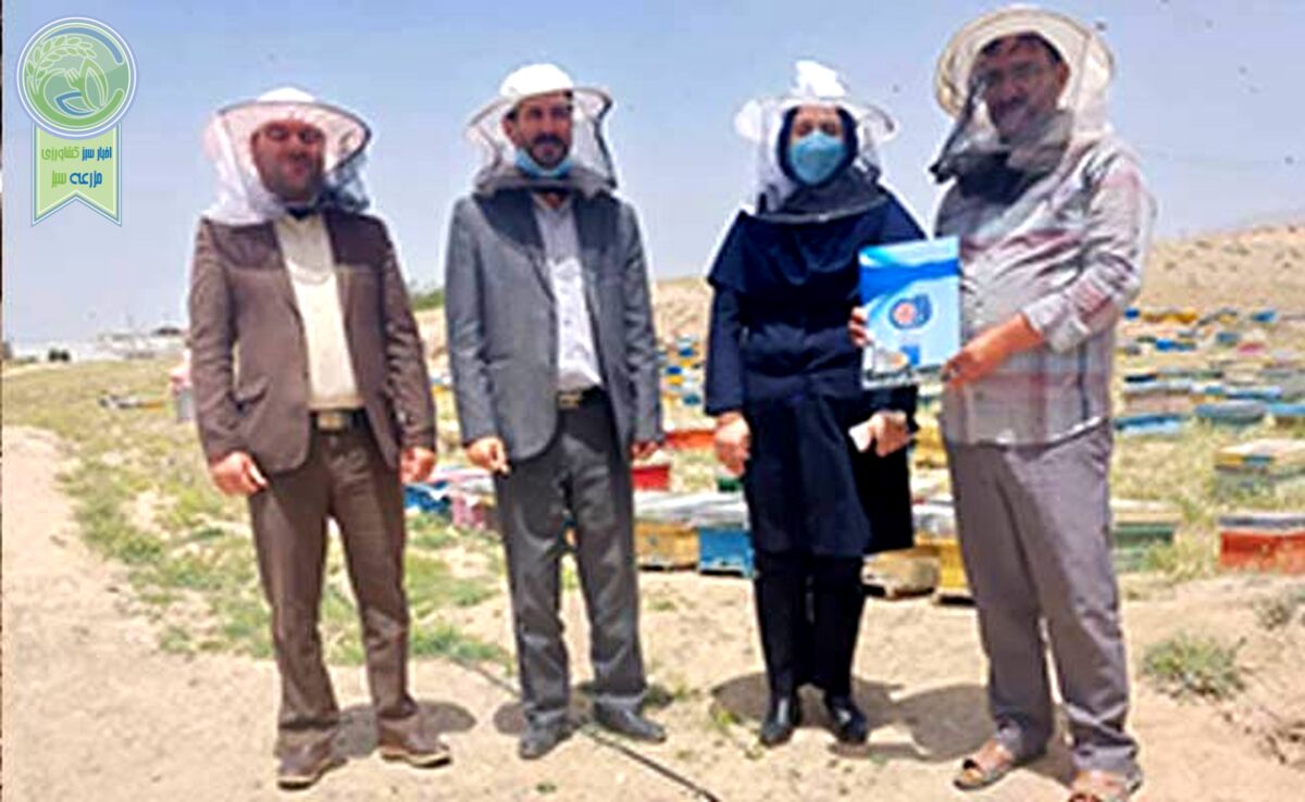 زنبوردار نهاوندی رکوددار تولید عسل+ ویدئو

