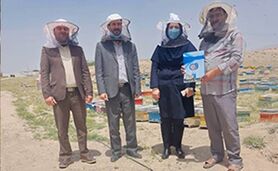 زنبوردار نهاوندی رکوددار تولید عسل+ ویدئو

