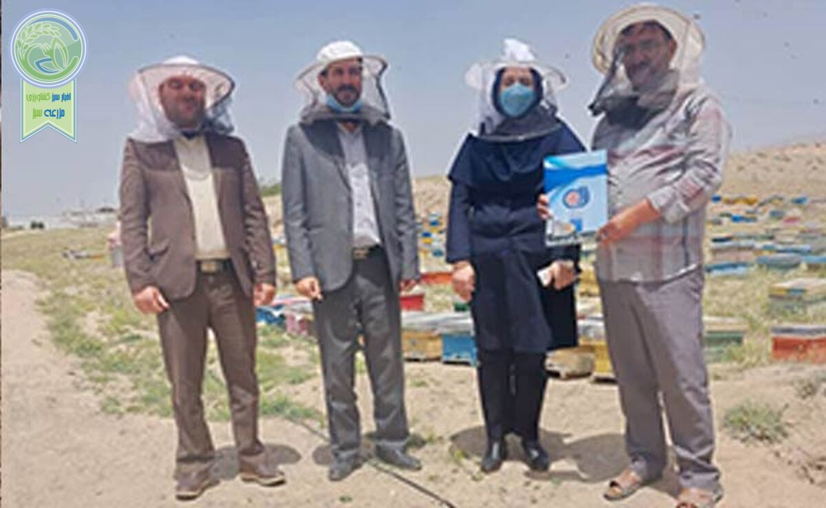 زنبوردار نهاوندی رکوددار تولید عسل+ ویدئو

