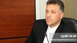 رئیس اتاق اصناف کشاورزی ایران: برق چاه‌های کشاورزی را قطع می‌کنند چون ارزان‌تر است