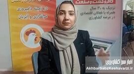نقشه جدید ایران و افغانستان برای کشاورزی؛ از صادرات تا کشت قراردادی+ویدئو